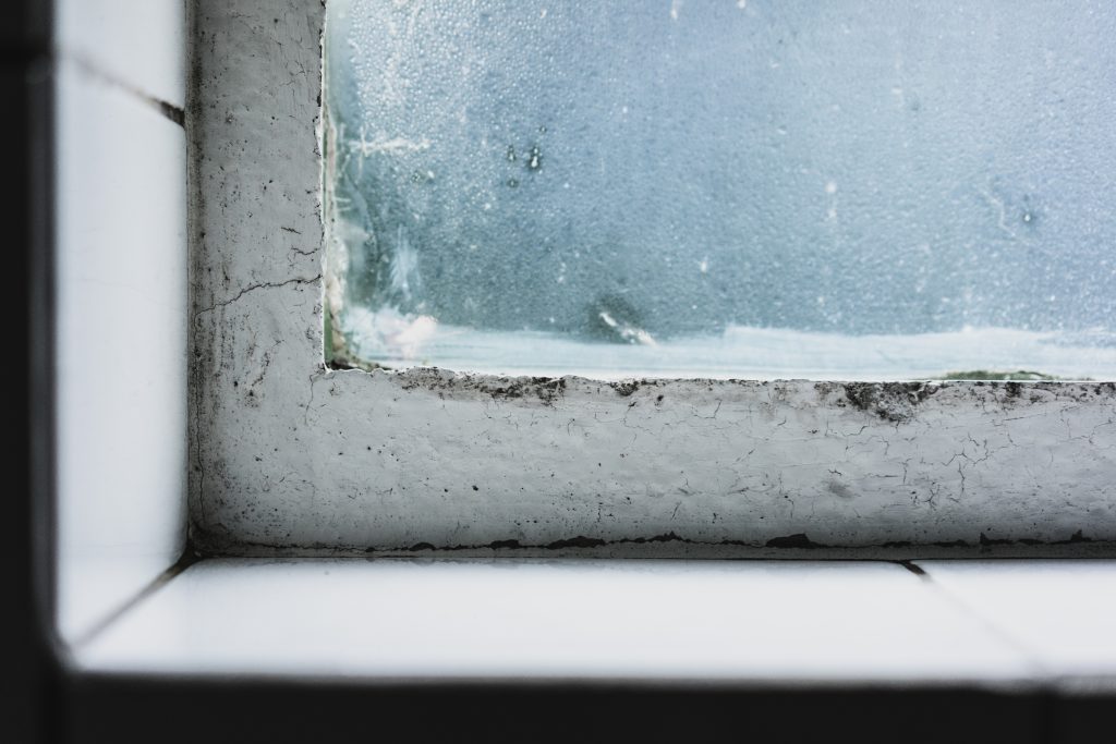 What Tenants Should Know About Housing Disrepair and Their Legal Rights